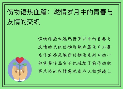 伤物语热血篇：燃情岁月中的青春与友情的交织